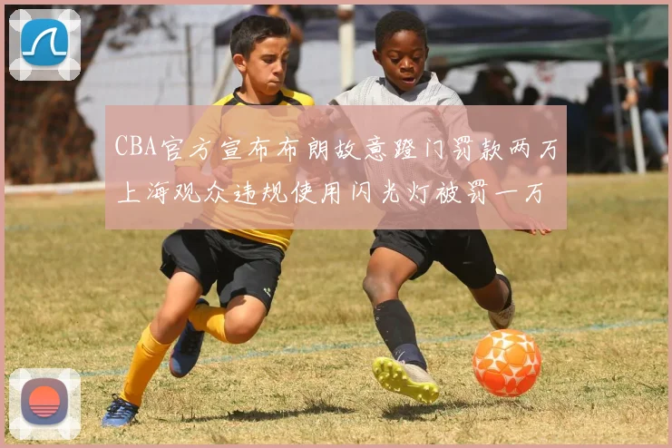 CBA官方宣布布朗故意蹬门罚款两万上海观众违规使用闪光灯被罚一万